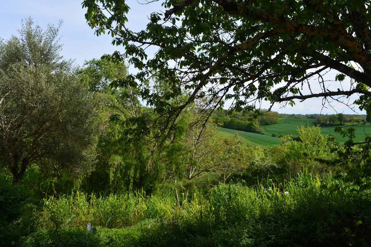jardin33